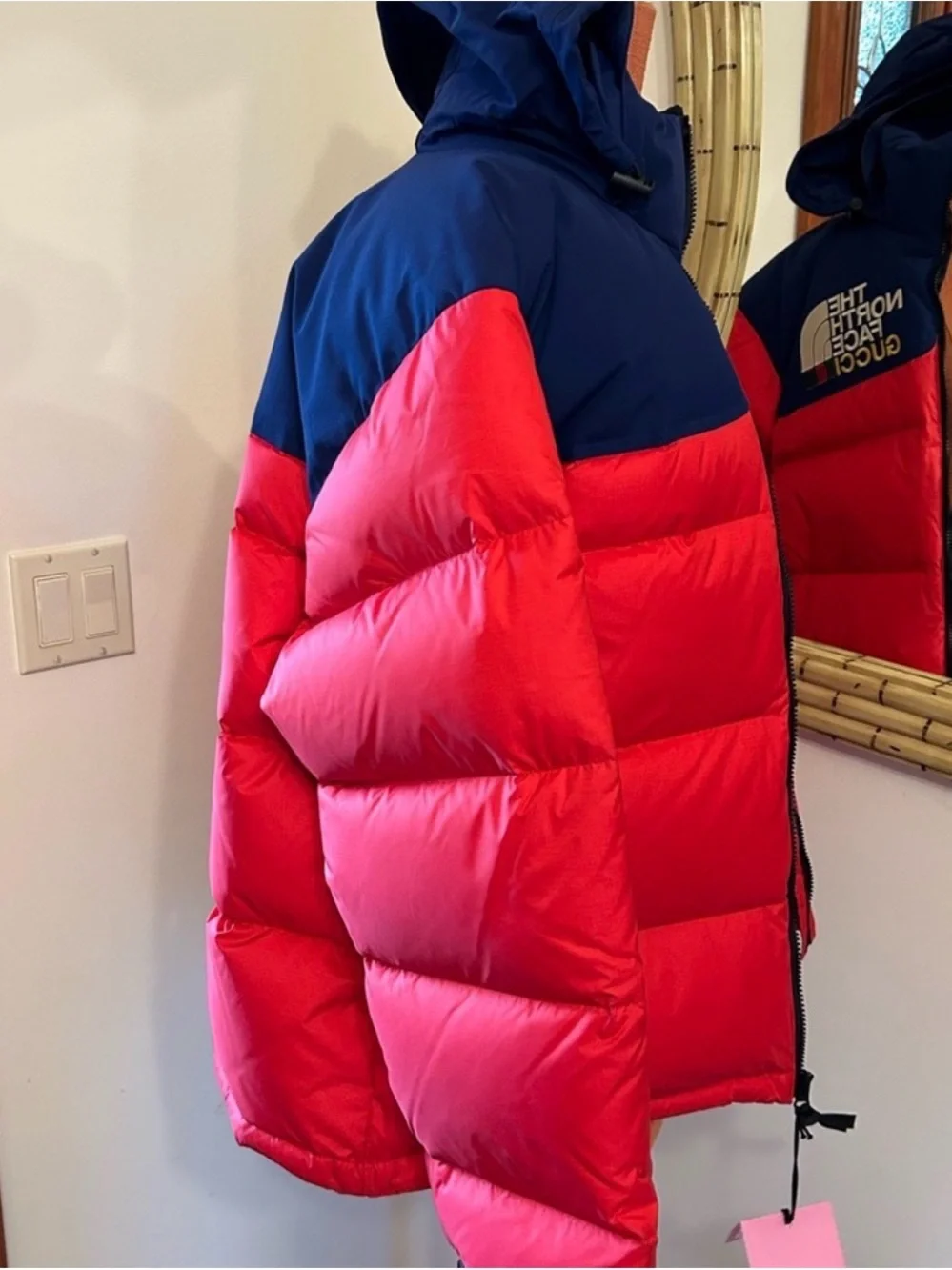 The North Face north face